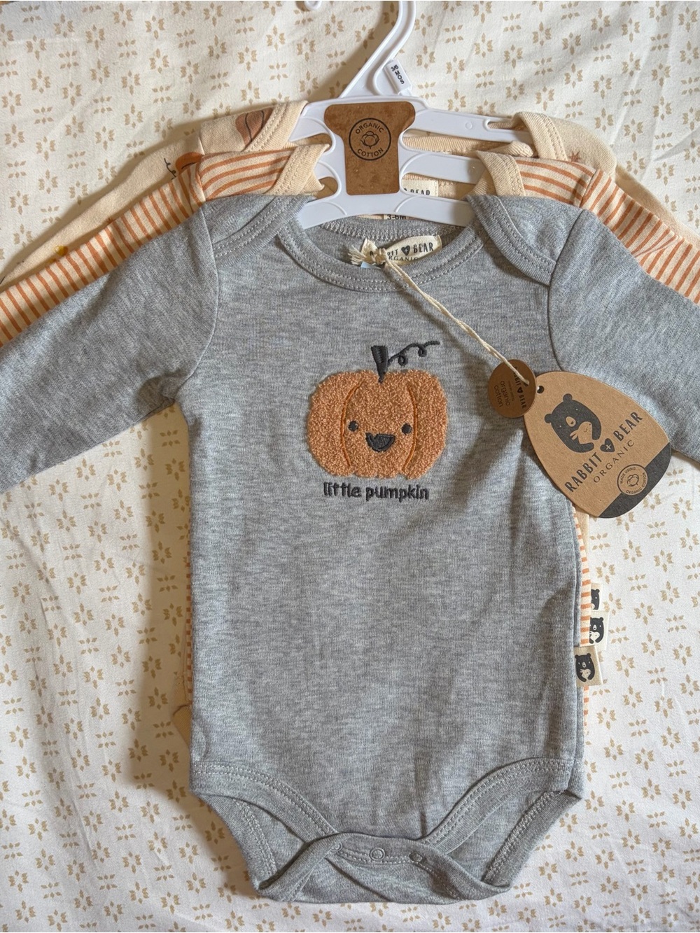 Rabbit + Bear 3 bodysuit set